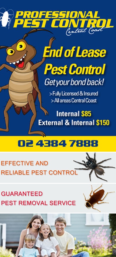 Central Coast Pest Control Pest Control Services